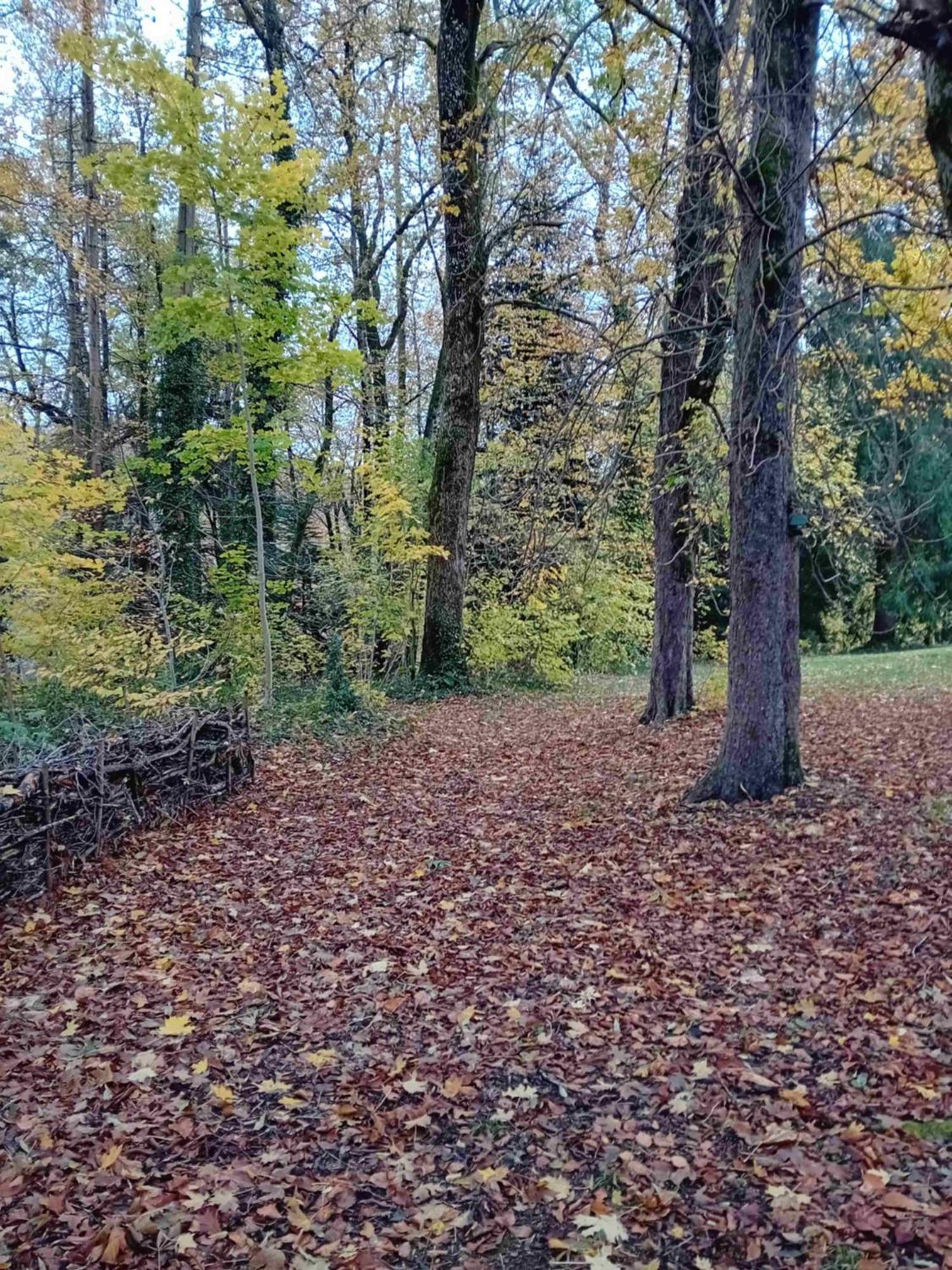 Domaine De Marchal - Chambres Et Table D'Hotes Celles-Sur-Durolle Buitenkant foto